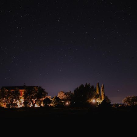Agriturismo Podere Prataccio 格罗塞托 外观 照片