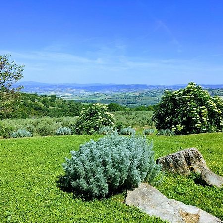 Agriturismo Podere Prataccio 格罗塞托 外观 照片