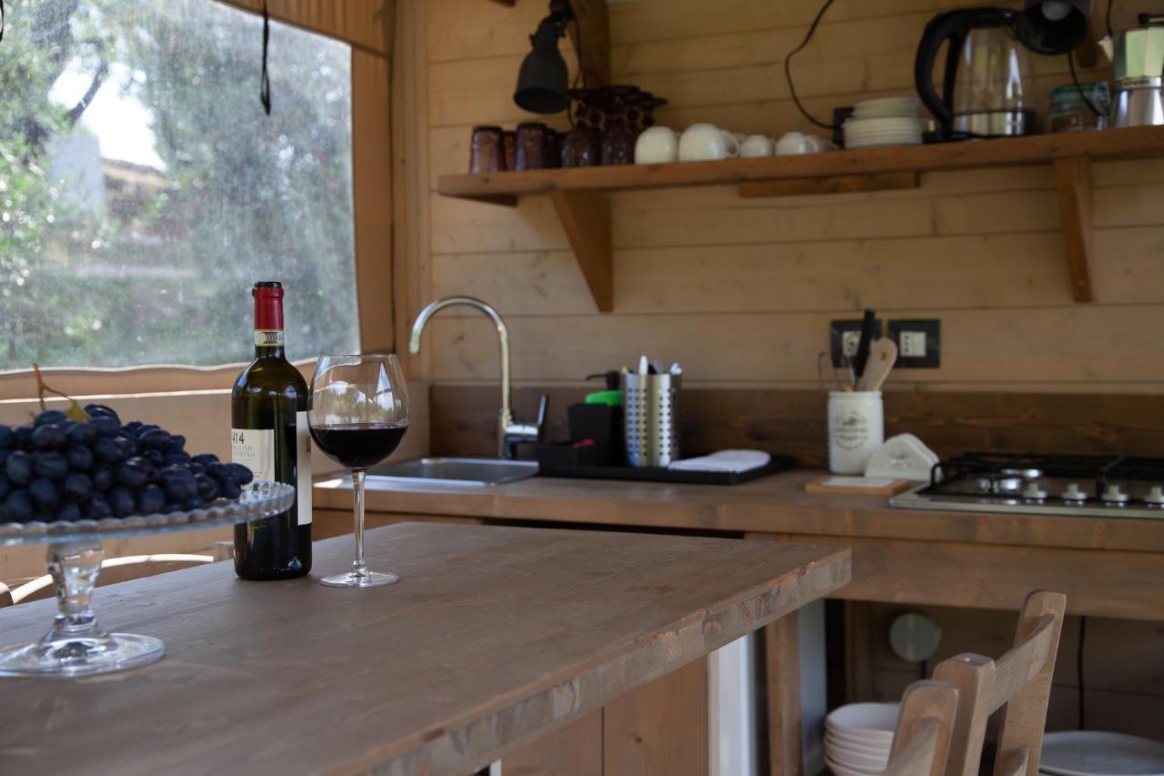 Agriturismo Podere Prataccio 格罗塞托 外观 照片