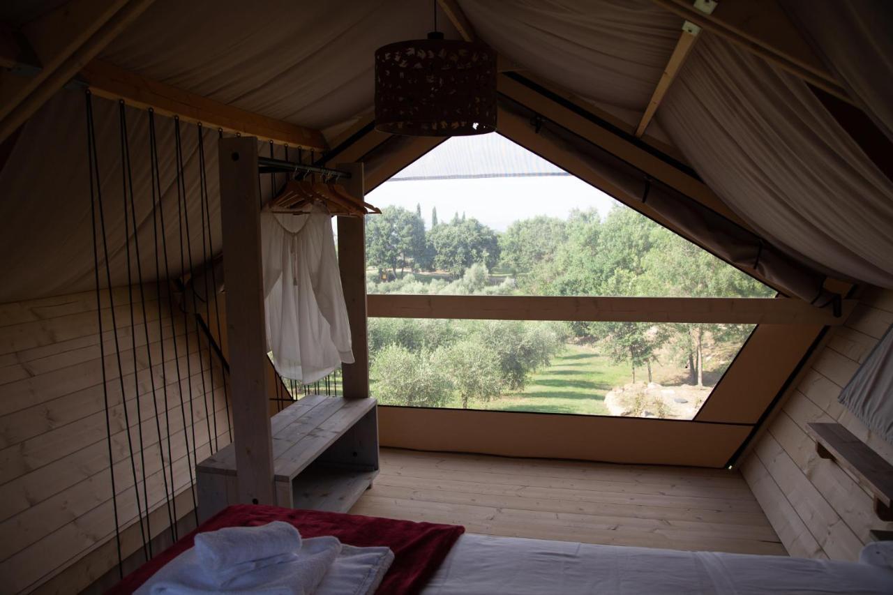 Agriturismo Podere Prataccio 格罗塞托 外观 照片