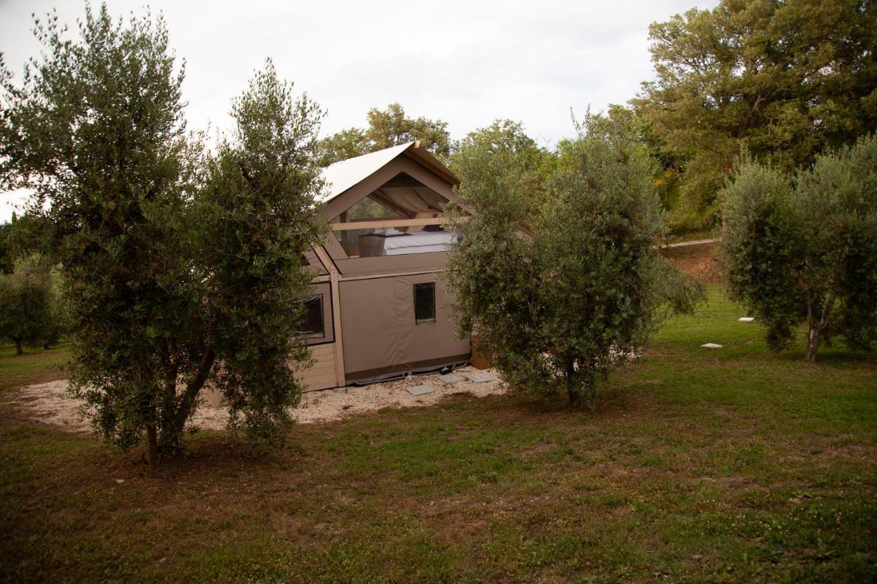Agriturismo Podere Prataccio 格罗塞托 外观 照片