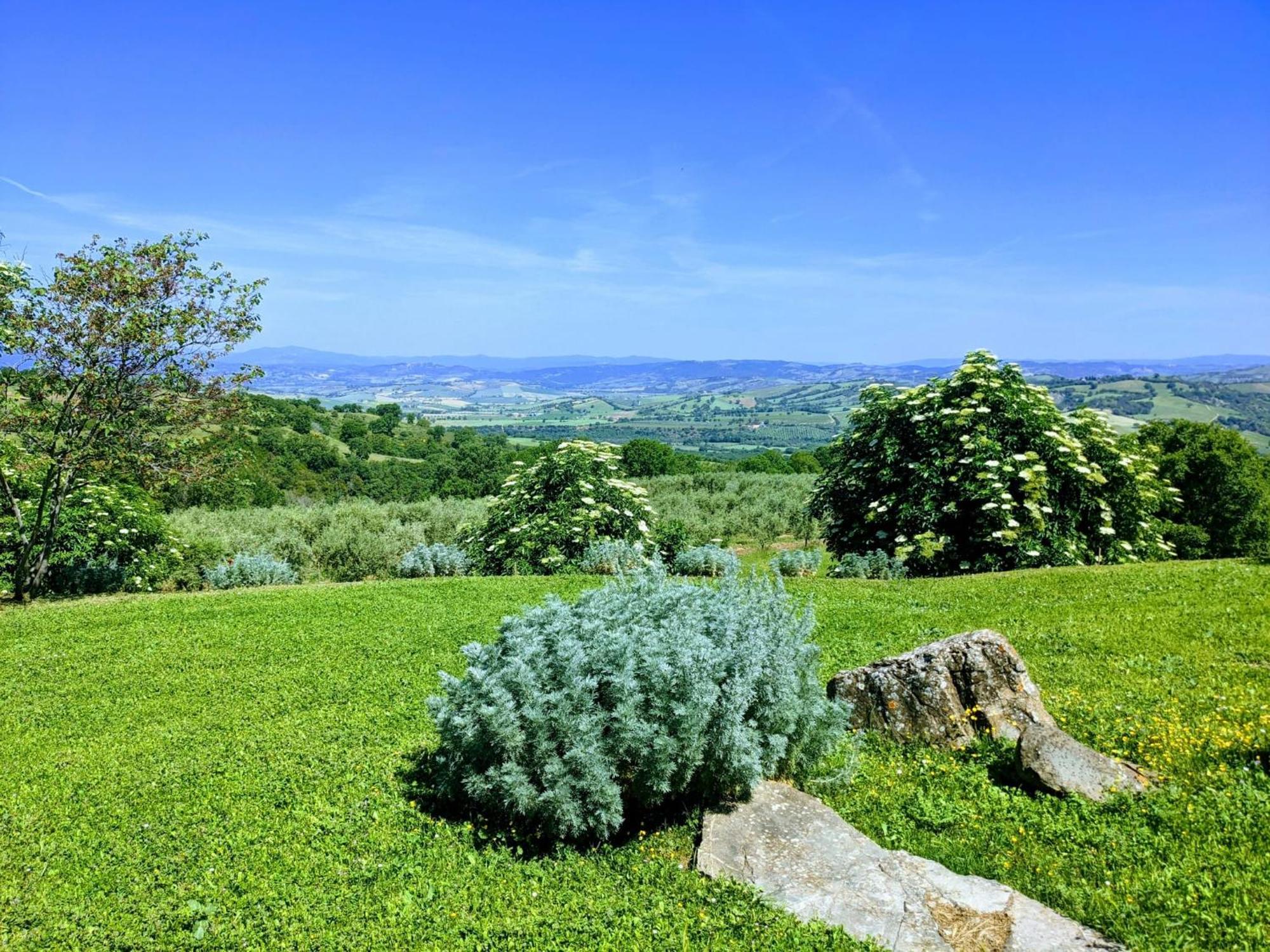 Agriturismo Podere Prataccio 格罗塞托 外观 照片