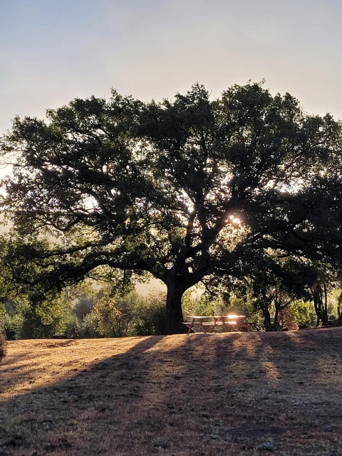 Agriturismo Podere Prataccio 格罗塞托 外观 照片