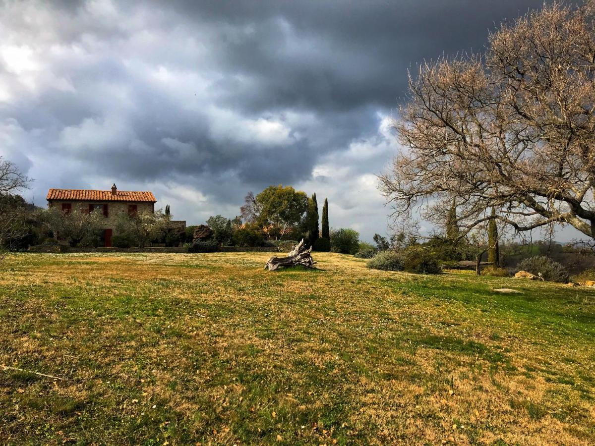 Agriturismo Podere Prataccio 格罗塞托 外观 照片